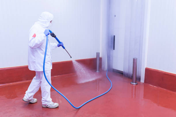 Post-Construction Pressure Washing in Reese, MI